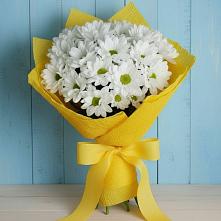 Букет цветов из:  Хризантемы в Сортавале