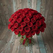 Букет 55 Красных роз Фридом #REPLACE_PRED# Сортавале