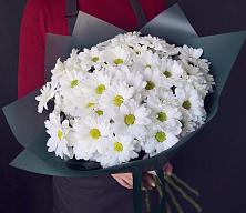 Букет цветов из:  Хризантемы #REPLACE_PRED# Сортавале