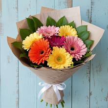Букет цветов из:  Герберы #REPLACE_PRED# Сортавале