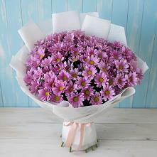 Букет цветов из:  Хризантемы #REPLACE_PRED# Сортавале