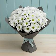 Букет цветов из:  Хризантемы в Сортавале