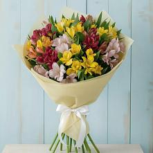 Букет цветов из:  Альстромерии в Сортавале