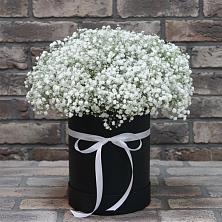 Цветочная композиция из Гипсофила в шляпной коробке в Сортавале